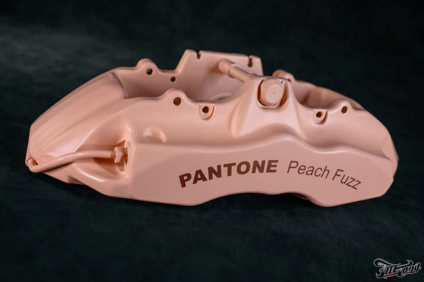 Суппорта в цвете 2024 года от Pantone Peach Fuzz